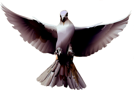 Le pigeon voyageur est un peu l'emblème de l'association